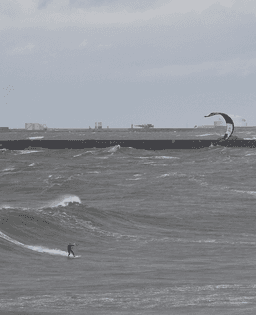 kitesurf