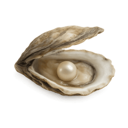 OYSTER